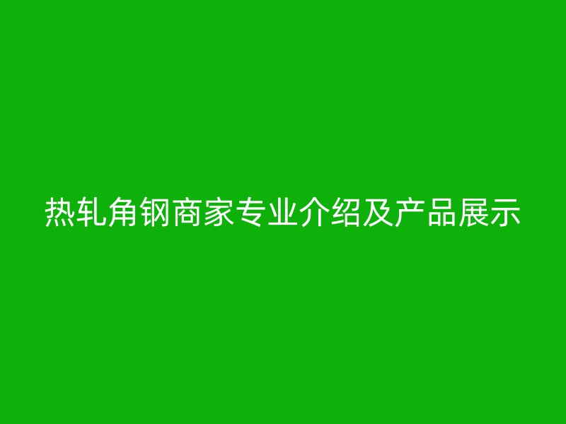 熱軋角鋼商家專業(yè)介紹及產(chǎn)品展示