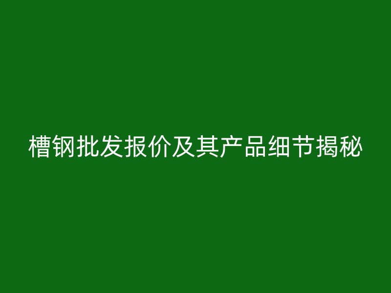 槽鋼批發(fā)報(bào)價(jià)及其產(chǎn)品細(xì)節(jié)揭秘