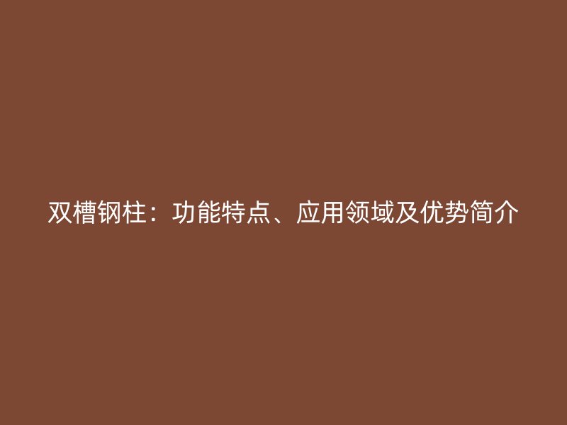 雙槽鋼柱：功能特點(diǎn)、應(yīng)用領(lǐng)域及優(yōu)勢(shì)簡(jiǎn)介