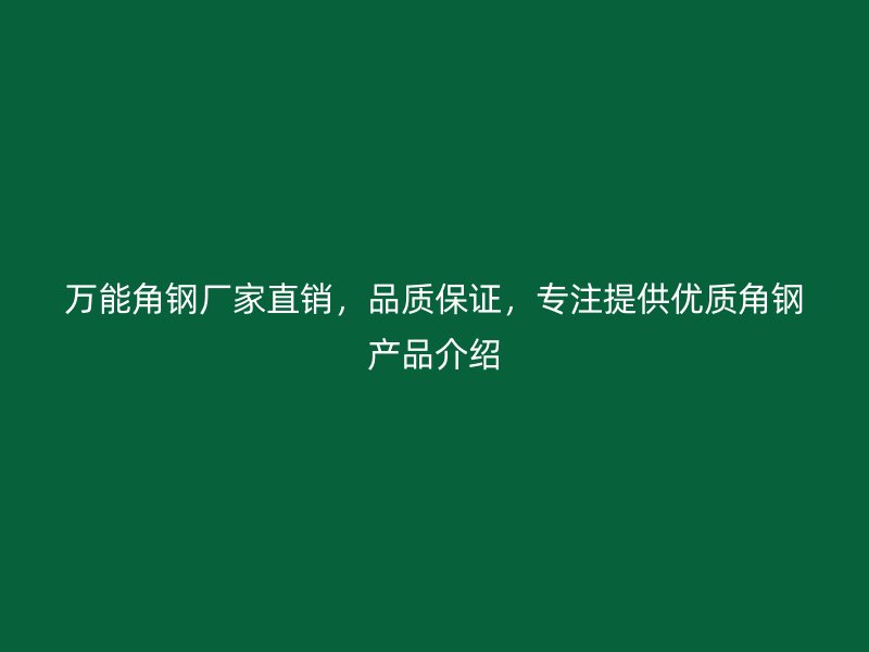 萬能角鋼廠家直銷，品質(zhì)保證，專注提供優(yōu)質(zhì)角鋼產(chǎn)品介紹
