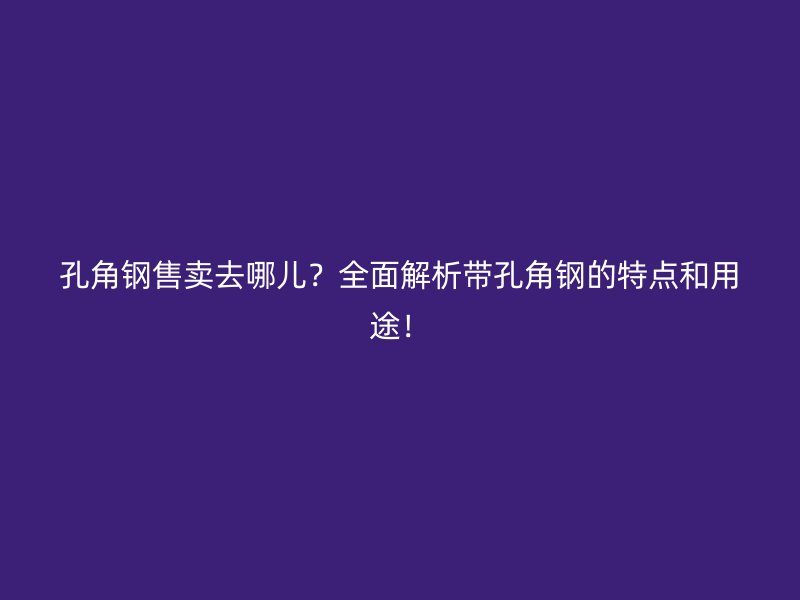 孔角鋼售賣去哪兒？全面解析帶孔角鋼的特點(diǎn)和用途！